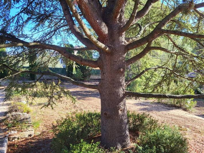 Gîte pour 4 personnes, avec piscine ainsi que jardin et terrasse à Saint-Saturnin-lès-Apt - 4
