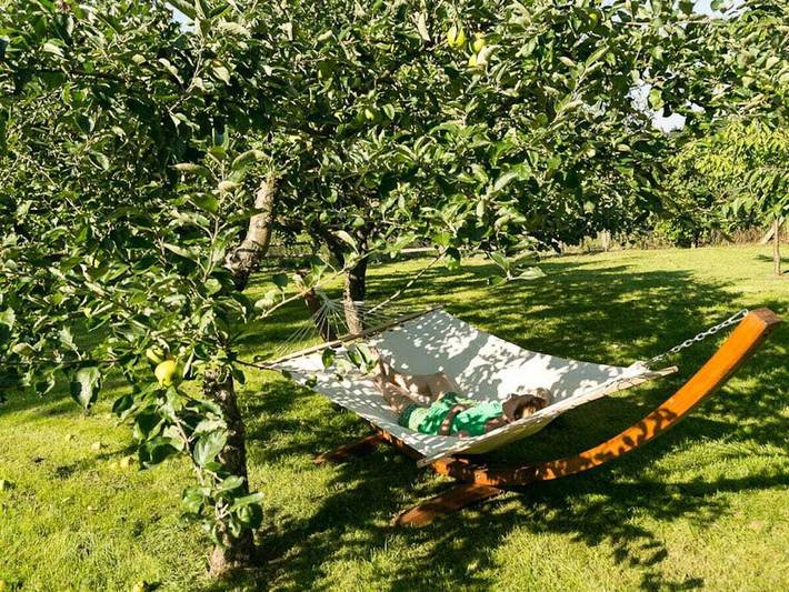 Ferienhaus für 8 Personen, mit Balkon und Terrasse sowie Garten und Seeblick in Kreis Herzogtum Lauenburg - 4