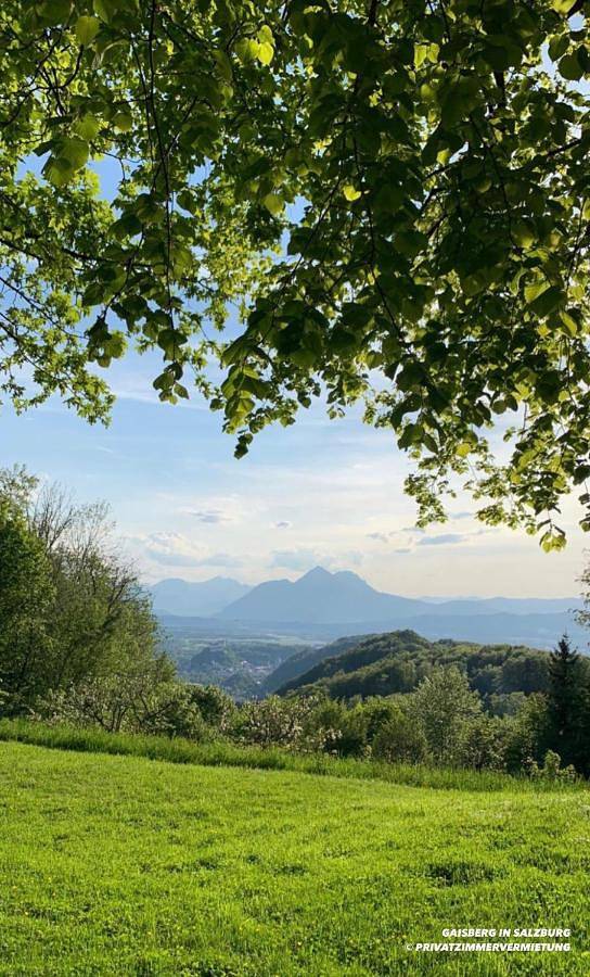 Ferienwohnung für 4 Personen, mit Garten und Ausblick in Salzburg - 4