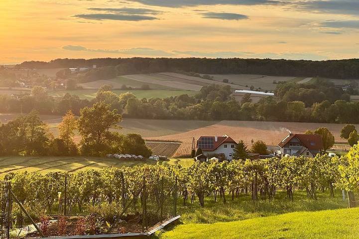 Ferienhaus für 9 Personen, mit Balkon und Garten