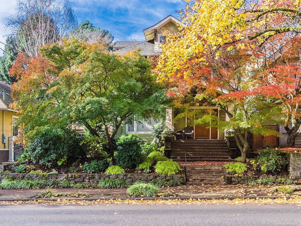 Ganze Wohnung, Wunderschönes Irvington Apartment in der Nähe des Stadtzentrums! in Portland, Multnomah County