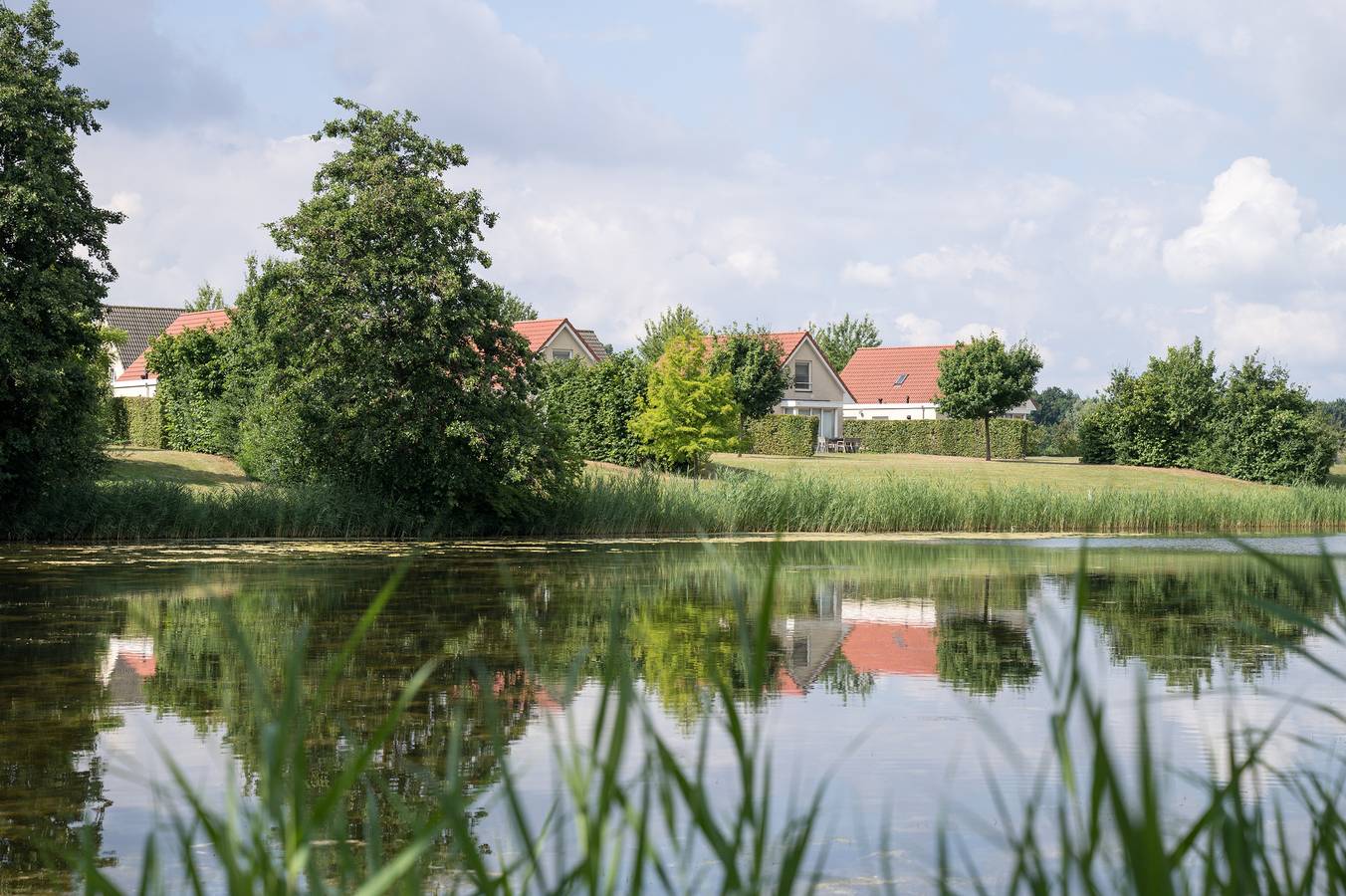 Resort Boschmolenplas — Ferienhaus am Teich in Limburg (Niederlande)
