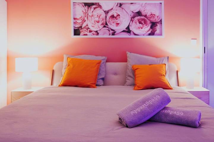 Gîte pour 4 personnes, avec terrasse ainsi que sauna et jacuzzi à Valenciennes - 3