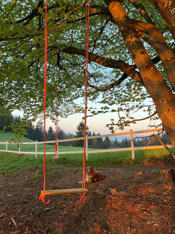 Gîte pour 4 personnes à Logatec - 3