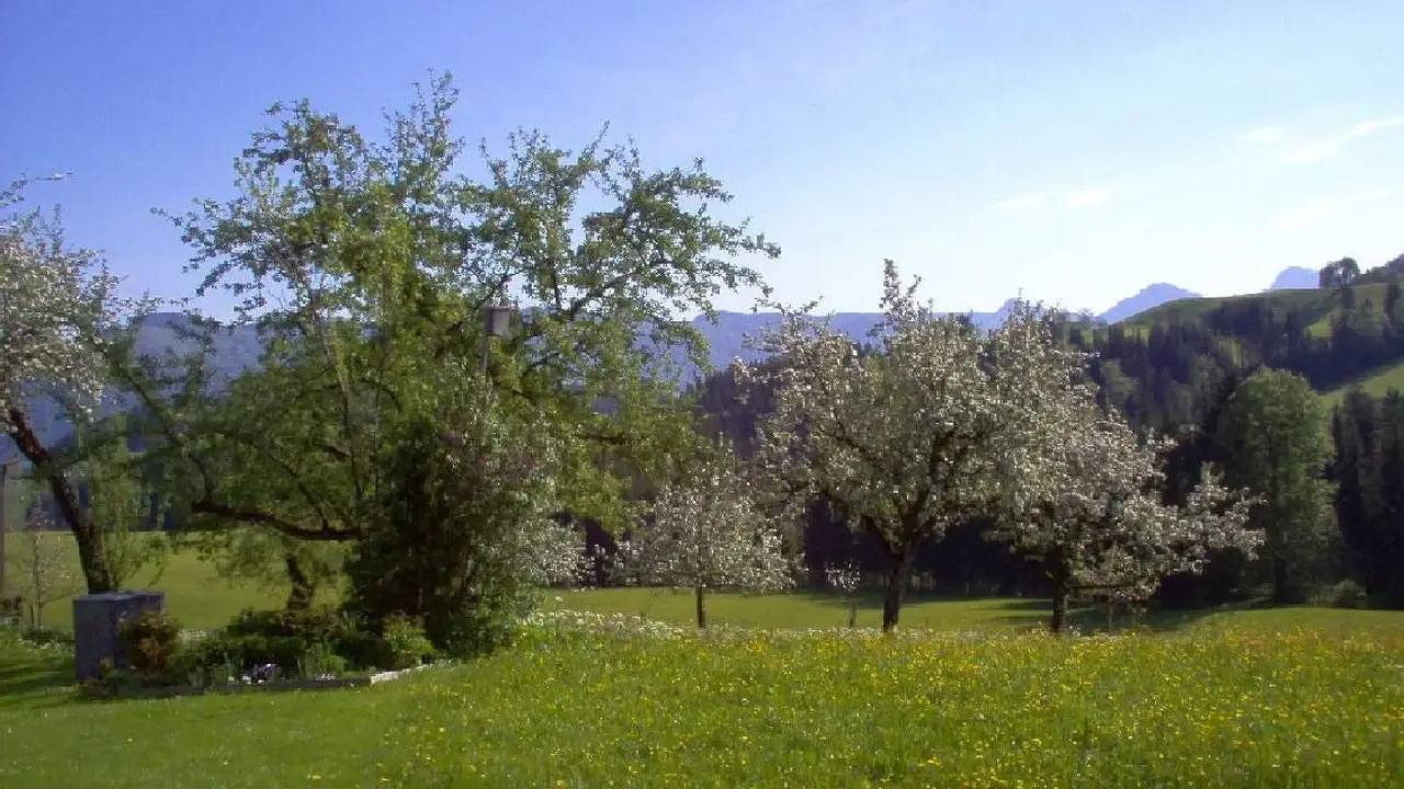 Ganze Ferienwohnung, Ferienwohnung für 5 Personen in Kössen in Kössen, Kaisergebirge