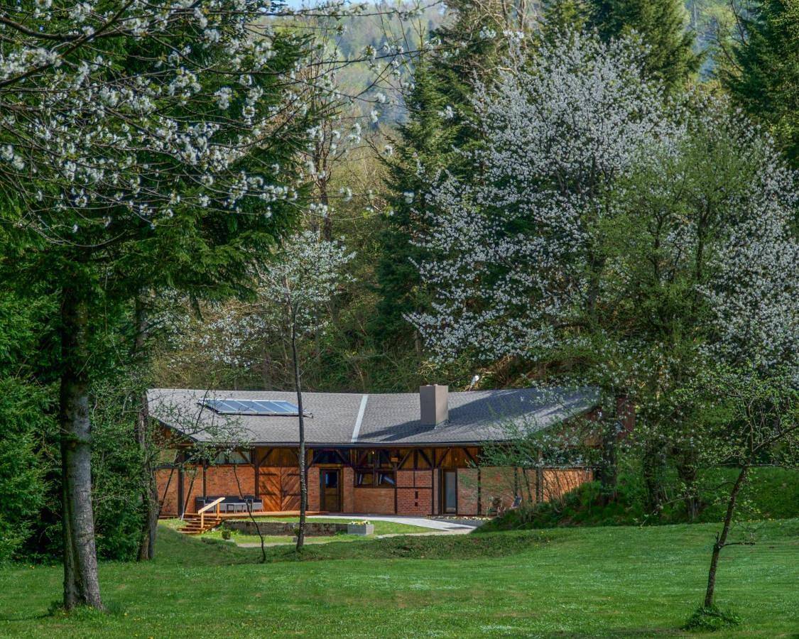 Novosiele Lifestyle Apartments - nad górską rzeką - Strefa relaksu sauna jacuzzi - Bieszczady in Karpaty (Polska)
