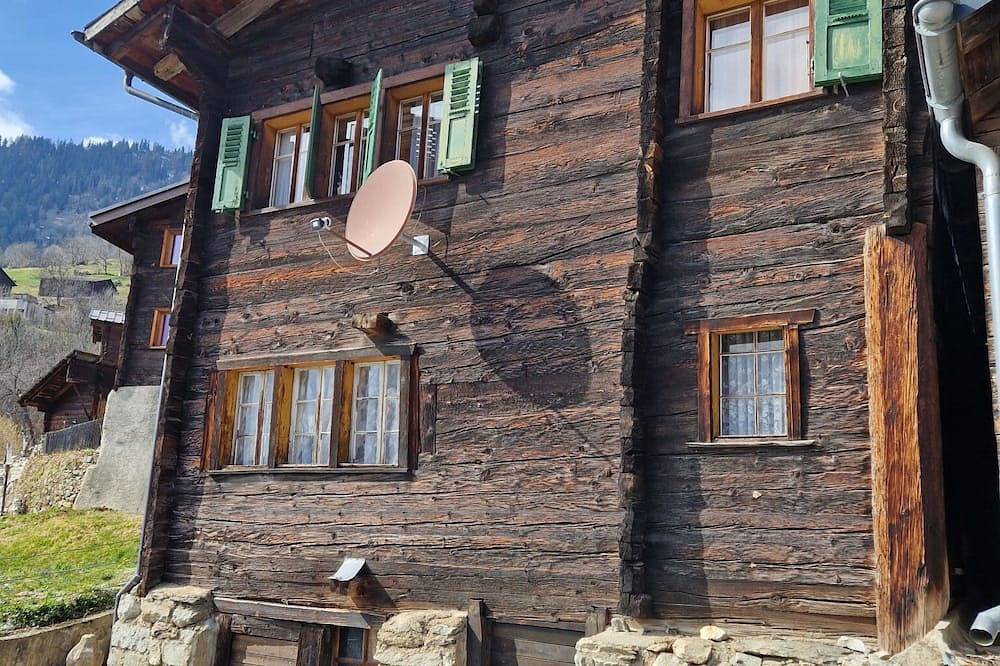 Ganze Wohnung, Dorfstrasse 97  2. Og Süd by Interhome in Betten, Aletsch Arena