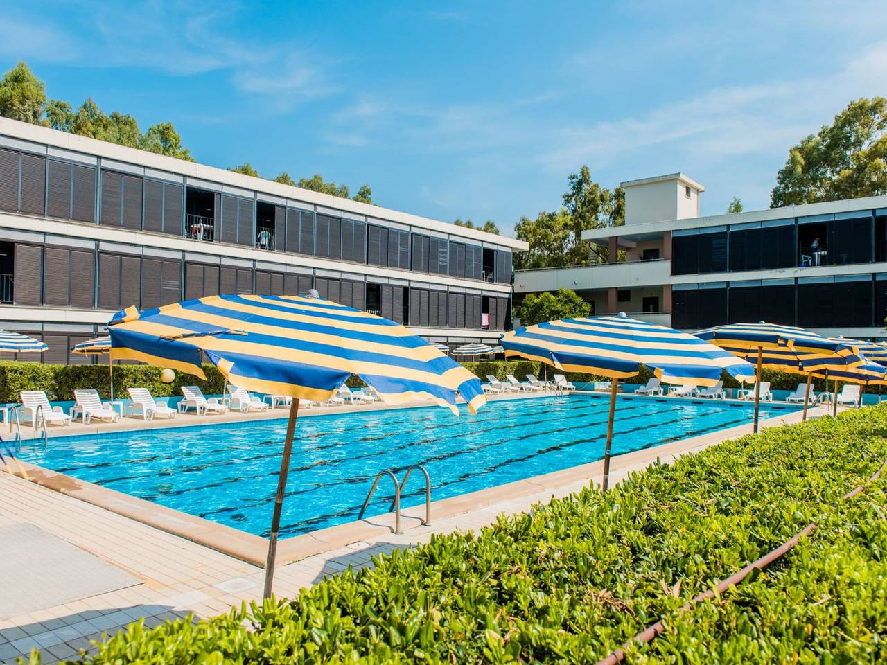 Appartamento vacanze a Bibbona a partire da 127€ a notte