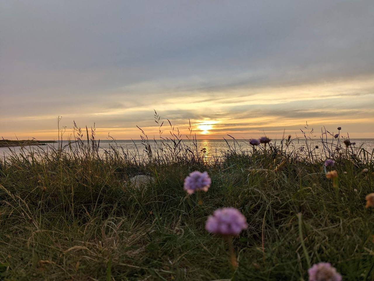 6 Personen Ferienhaus in Tarm in Skaven Strand, Ringkøbing Fjord