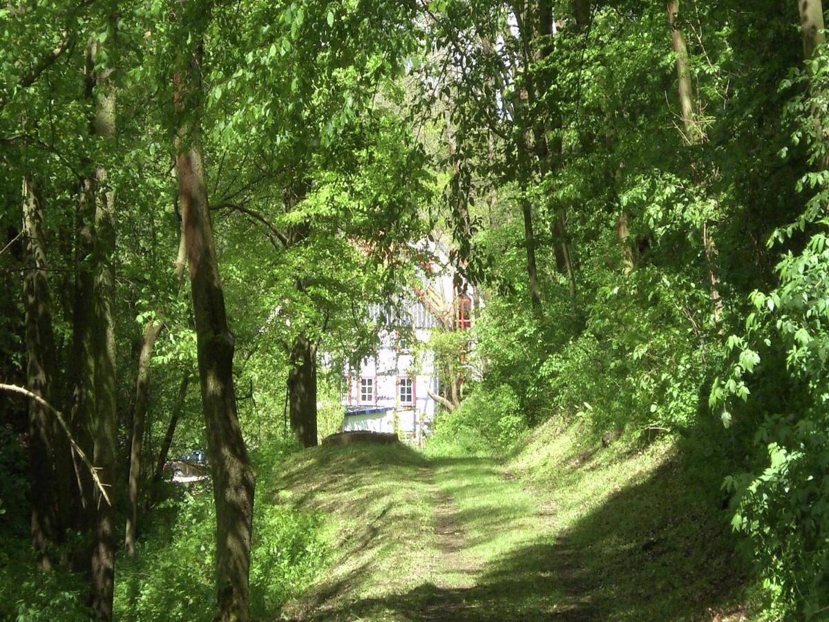 Ganze Wohnung, Two-Bedroom Apartment in Hamma, Heringen/Helme