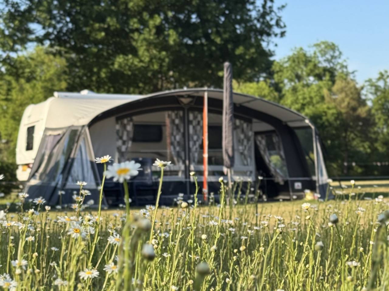 Thuysgrond — Kampeerplaats in Bergeijk, Noord-Brabant