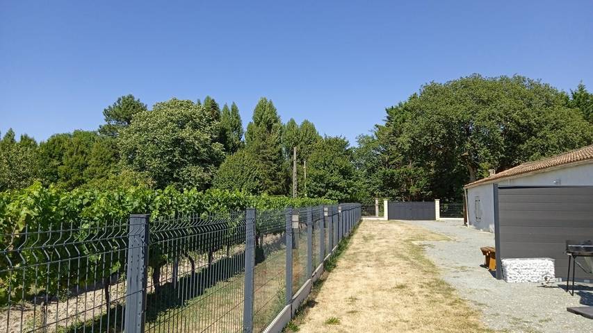 Gîte pour 6 personnes, avec terrasse et piscine à Mortagne-sur-Gironde - 2