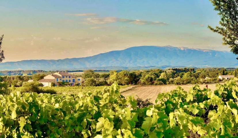 Location de vacances pour 2 personnes, avec jardin ainsi que vue et piscine à Saint-Didier - 2