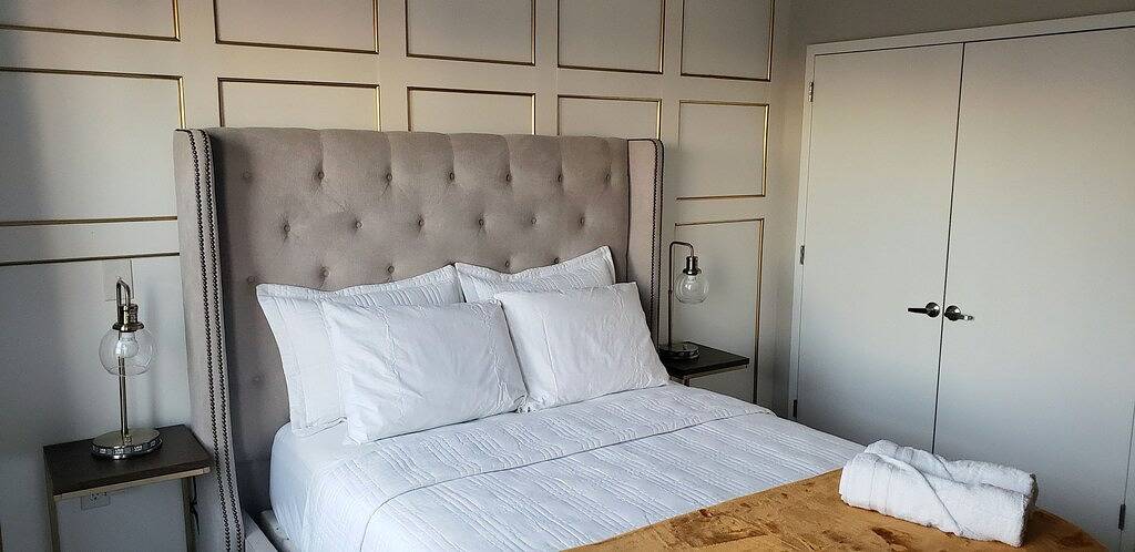 Ganze Wohnung, True Luxury / City View-Mins to Dt / Free Parking in Newark, Essex County (NJ)