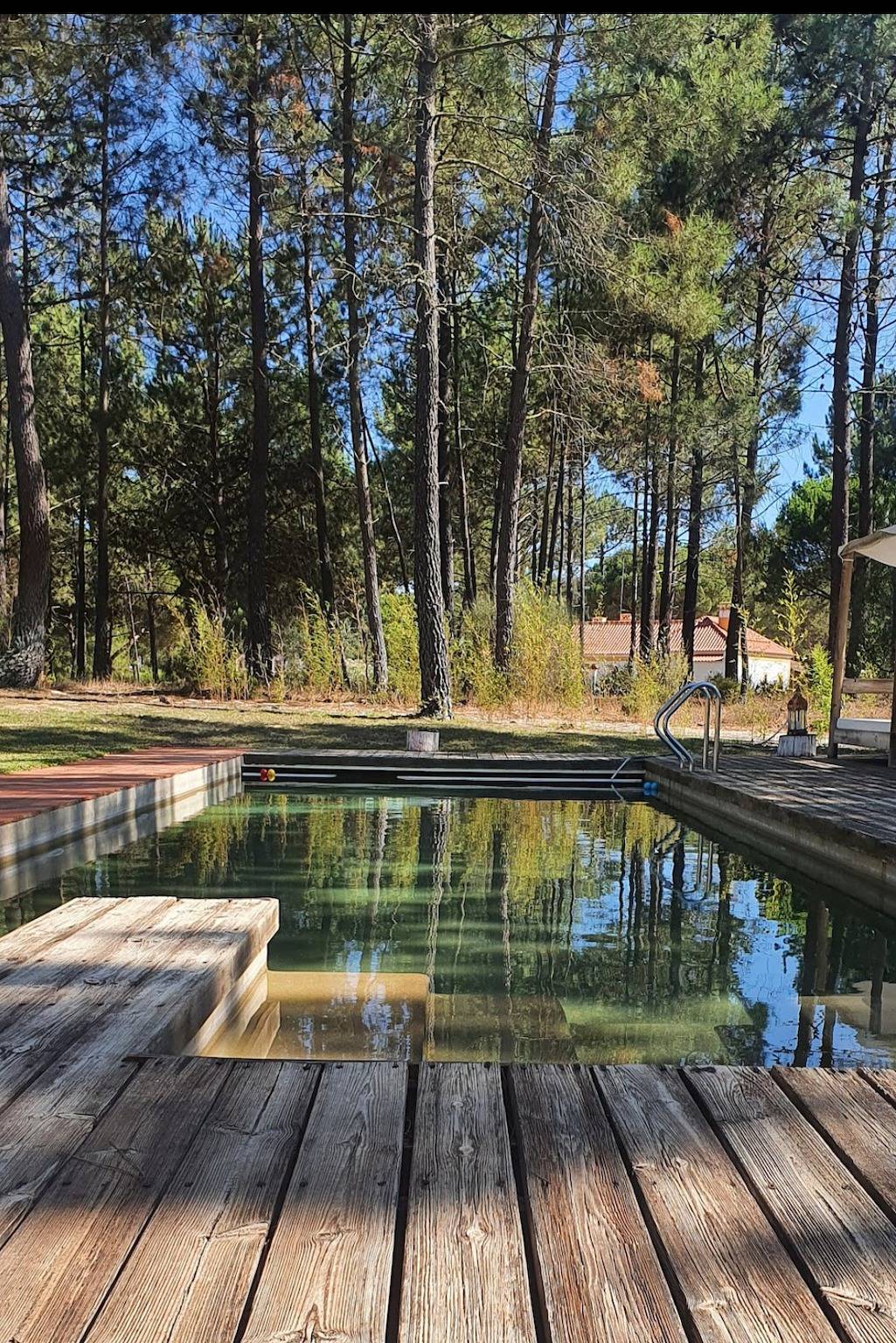 Casa de férias 'Casa Da Relva' com piscina privada, terraço partilhado e acesso Wi-Fi in Santa Maria do Castelo, Alcácer do Sal e Santa Susana
