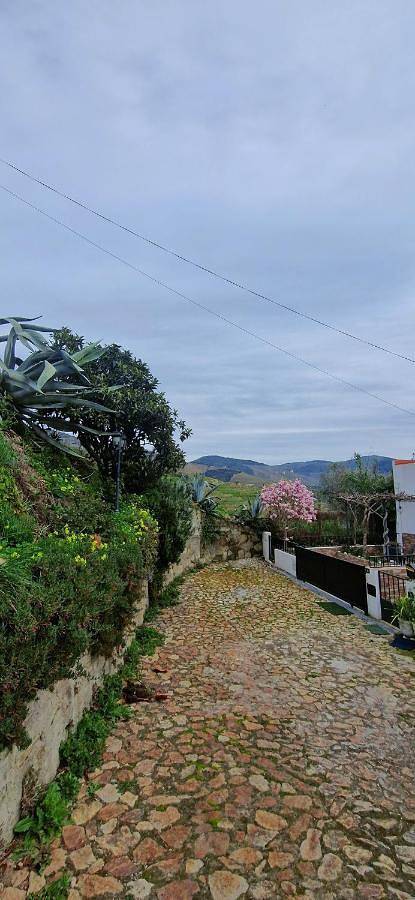 Location de vacances pour 7 personnes, avec jardin et vue à Pinhão - 2