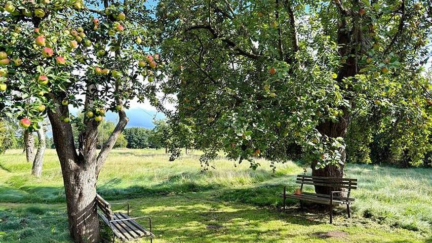 Ferienwohnung für 5 Personen, mit Garten in Burg (Spreewald) - 2