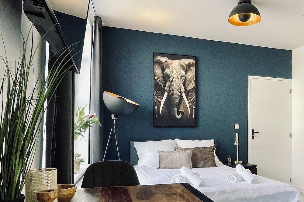 Luxe Kamer, Nieuwe Badkamer, Luxe Gedeelde Keuken & Wasmachine, Dicht bij de Universiteit in Tilburg, Noord-Brabant