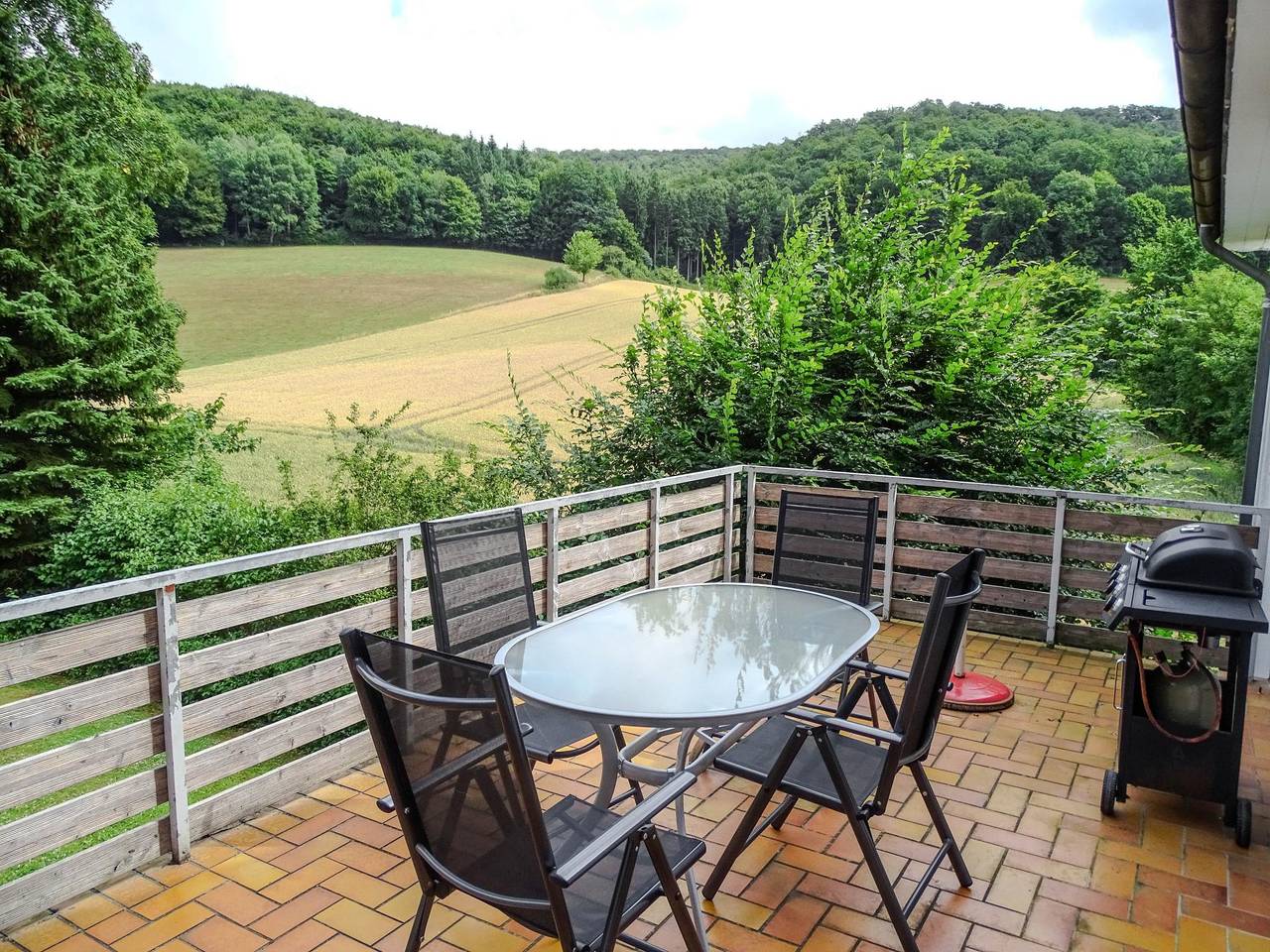Ganze Wohnung, Große Ferienwohnung mit Garten im Weserbergland in Bad Pyrmont, Weserbergland