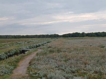 Feriehus til 8 Personer i Als Odde, Helberskov, Bilde 2