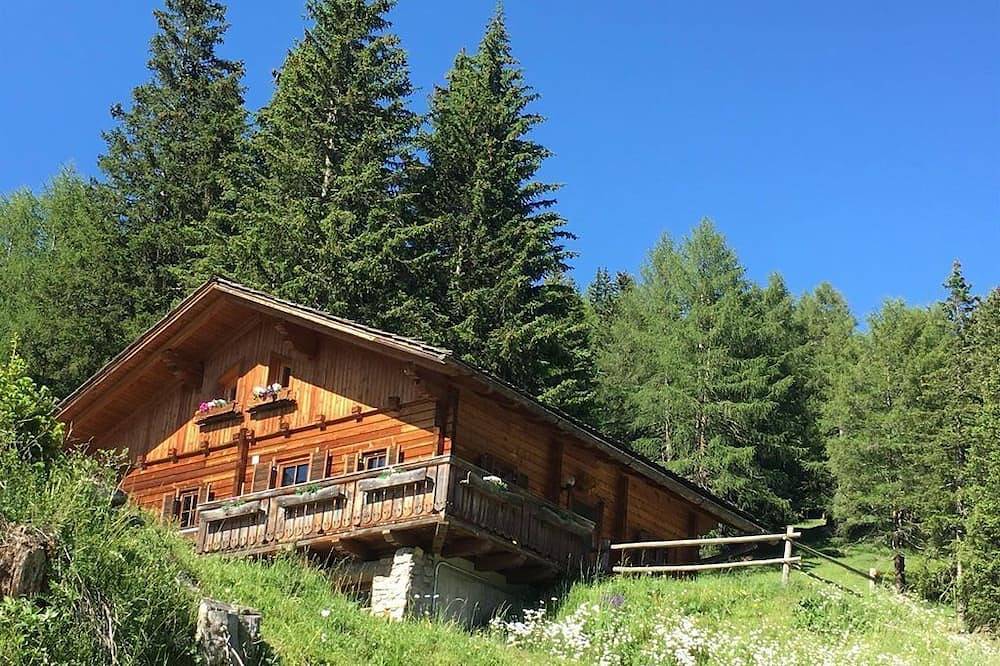 Gipper, Almhütte - Hütte mit 4 Schlafräumen/ Dusche, Wc in Heiligenblut, Bezirk Spittal an der Drau
