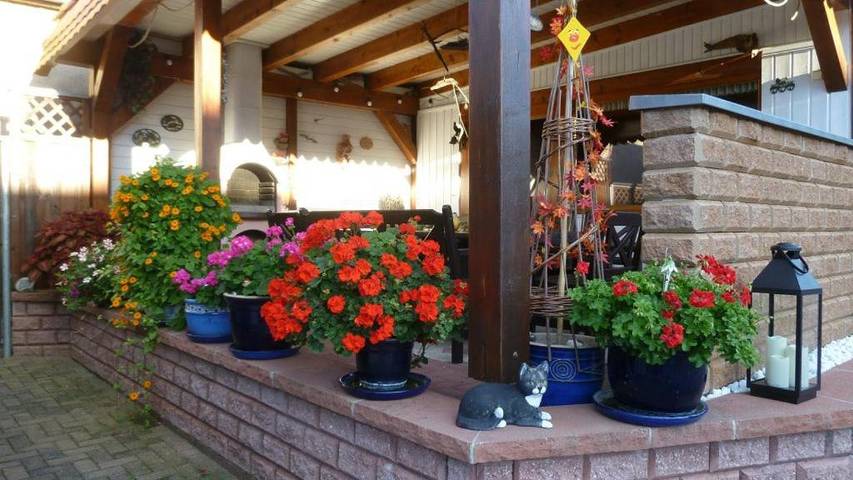 Ferienwohnung für 2 Personen, mit Garten und Ausblick in Gohrisch - 2