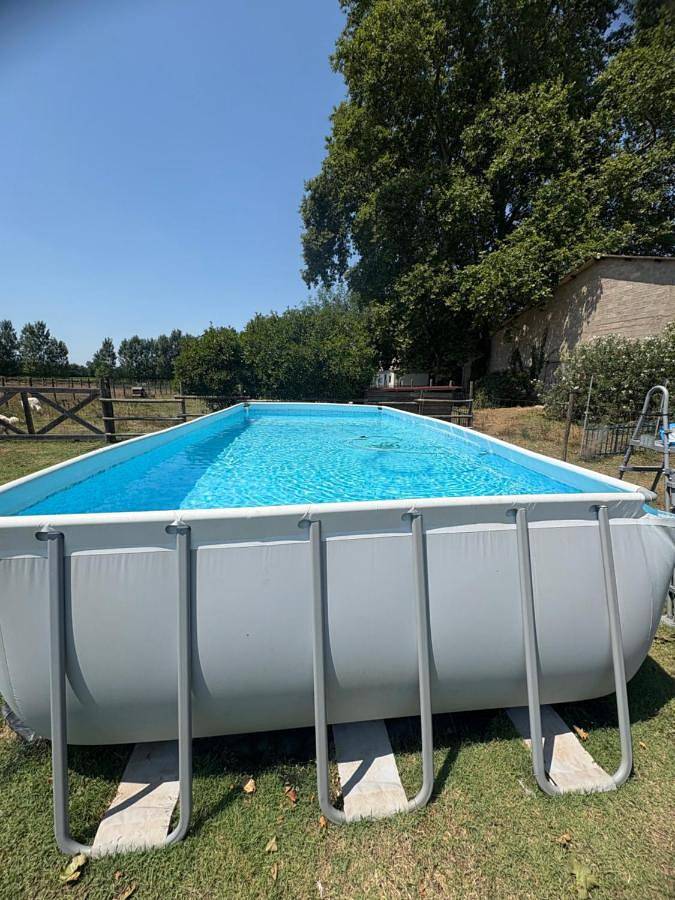 Gîte pour 4 personnes, avec piscine et terrasse, animaux acceptés à Florensac - 2
