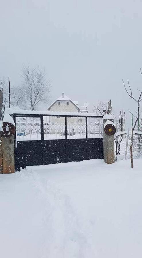 Lodge pour 4 personnes, avec vue et terrasse, animaux acceptés