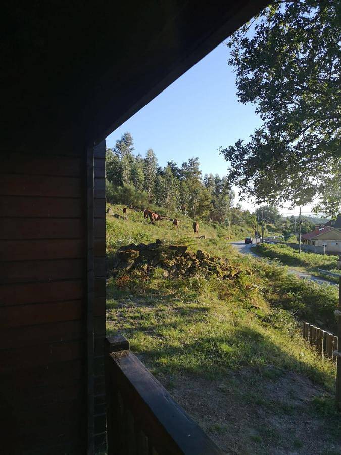 Cabaninha de Cabana Maior in Cabana Maior, Distrito de Viana do Castelo