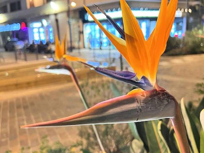 Gîte pour 5 personnes, avec terrasse, animaux acceptés dans Casino De Sainte Maxime