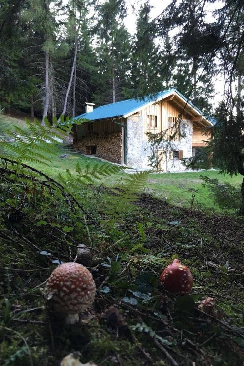 Ganze Wohnung, Mit Sauna in Pieve Di Bono in Pieve di Bono-Prezzo, Gardasee-Berge