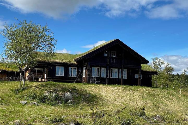 Bjælkehytte for 13 personer, husdyr tilladt - 1