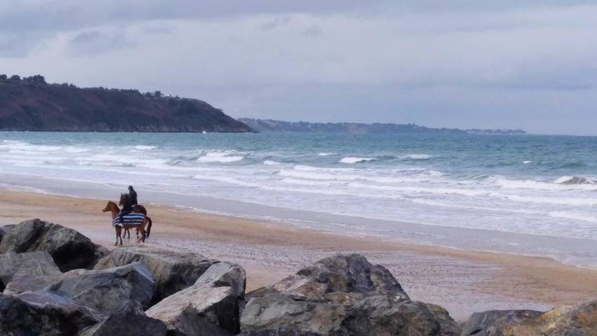 Gîte pour 3 personnes, avec jardin dans Les Rosaires - 4