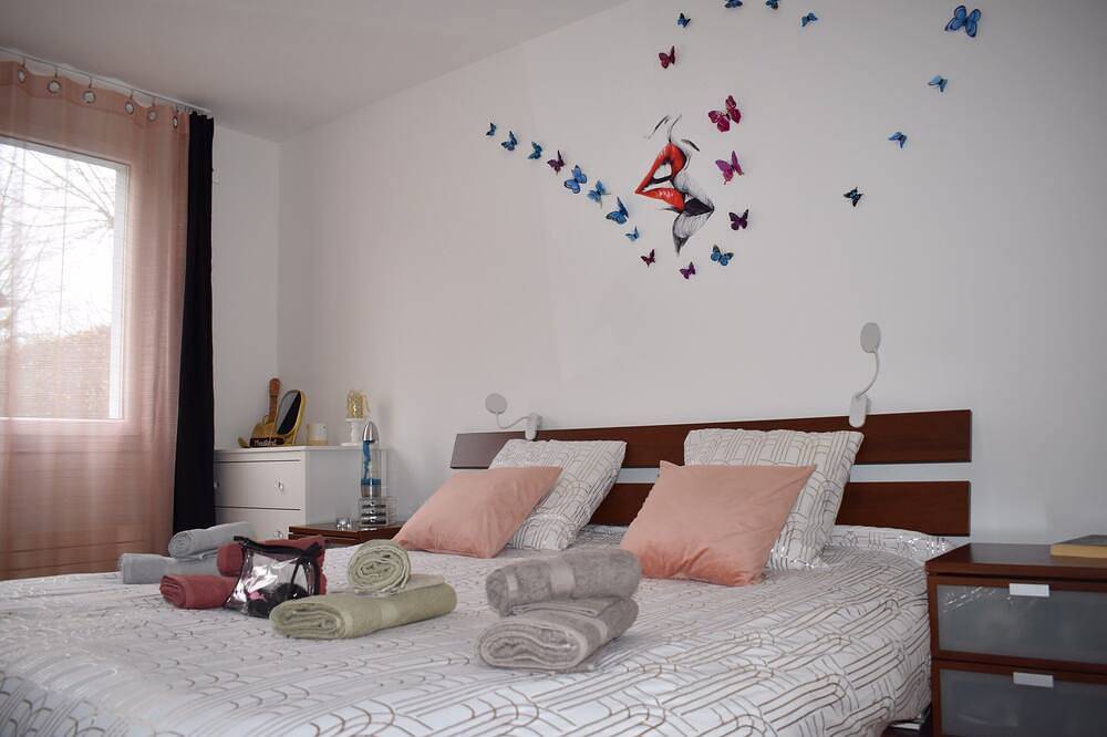 Ganze Wohnung, Charming 1-bedroom apartment with fitness room and Wifi in Breitenbach in Kanton Solothurn