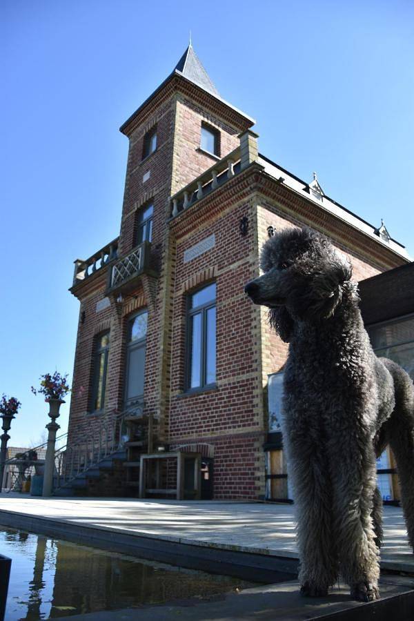 Chambre d’hôte pour 3 personnes, avec vue et piscine ainsi que jardin et sauna en Belgique - 2