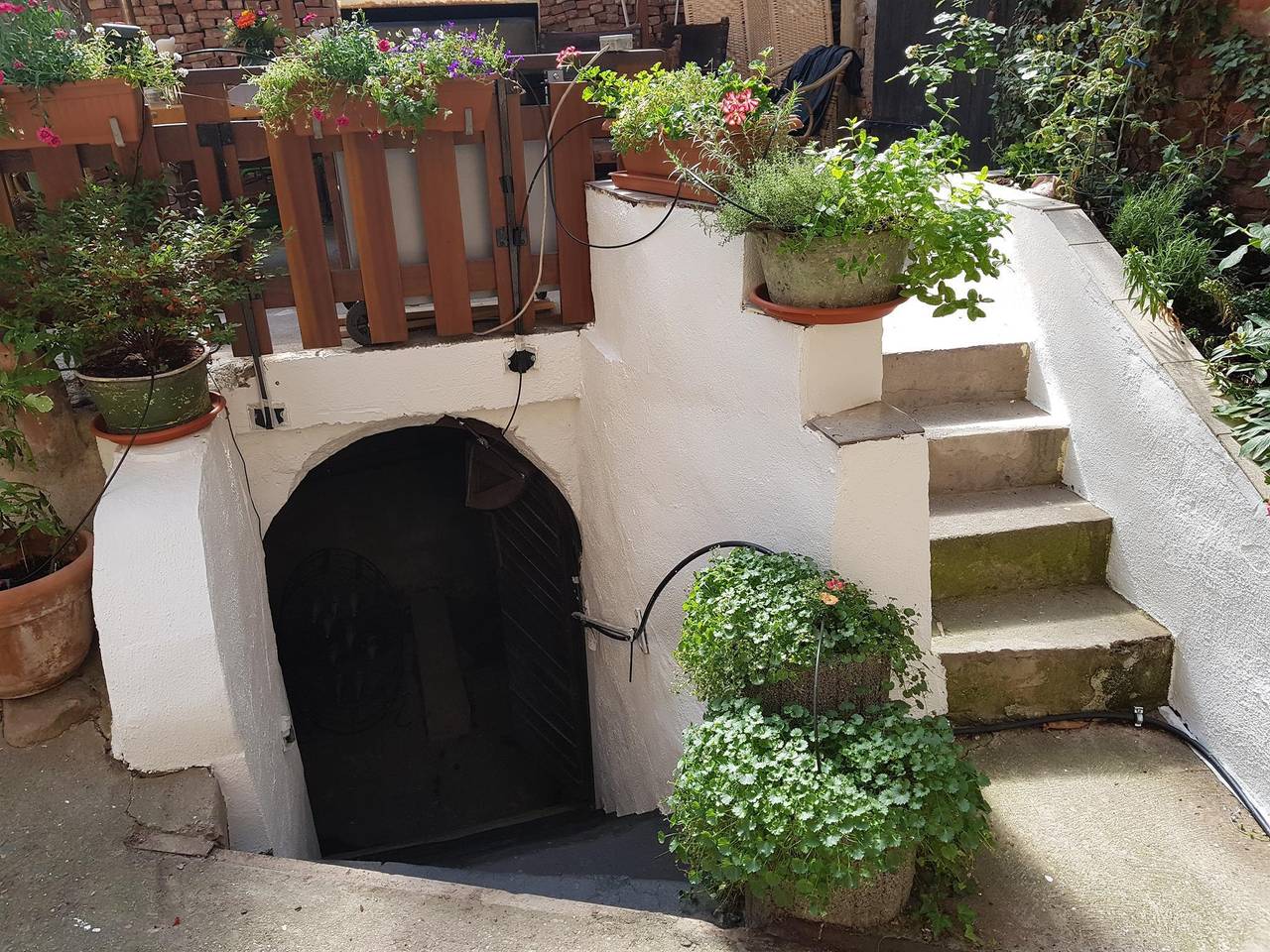 Appartement/Fewo, Dusche und Bad, Wc, 4 oder mehr in Reil, Bernkastel-Kues & Umgebung