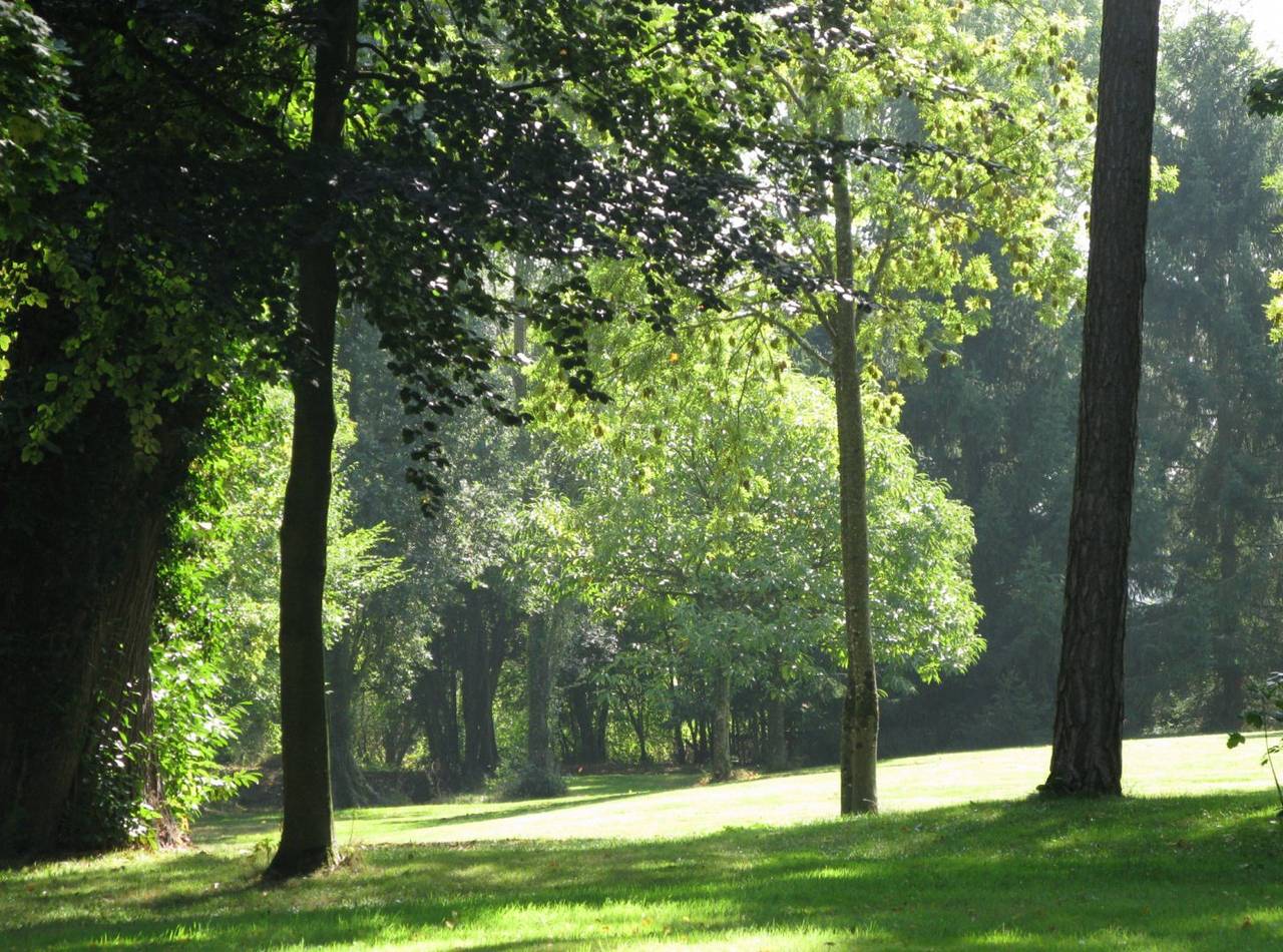 Chambre d'hôtes Les Grandes Hayes - Les Séquoias in Coulonges-sur-Sarthe, Parc naturel régional Normandie-Maine