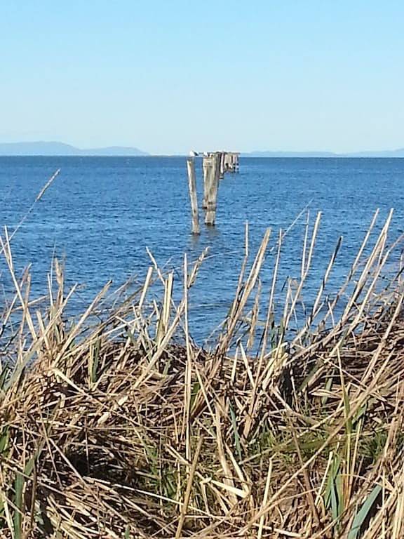 Lachende Enten-Ranch .... Kanal Eigentum und nur wenige Schritte vom Strand entfernt! in Hurricane Ridge