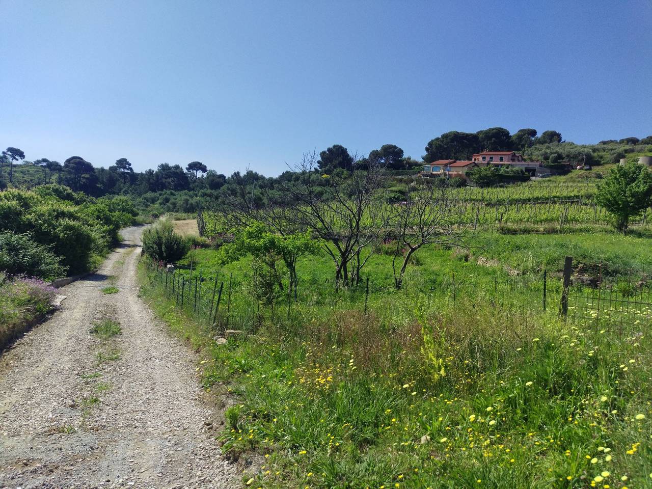 Apartamento vacacional entero, Perla Sul Mare con Giardino - Appartamento in villa con giardino in Pantai (Costarainera), Costarainera