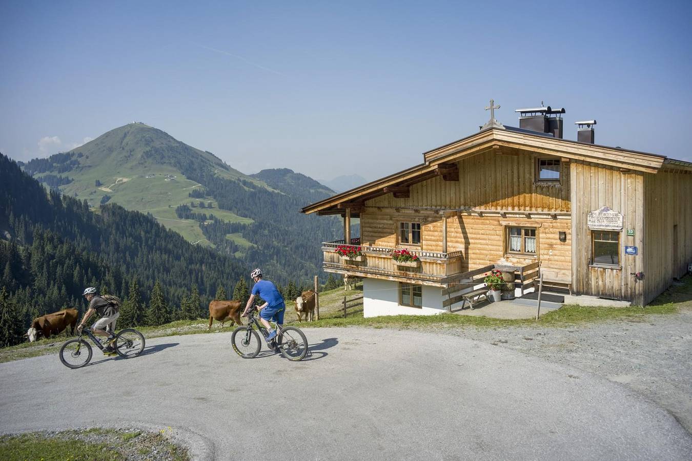 Geheel vakantieappartement, Appartement, douche, Wc, 2 slaapkamers in Söll, Kaisergebirge