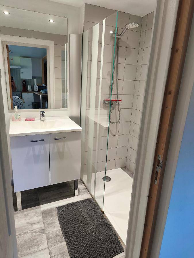 Gîte pour 4 personnes, avec terrasse et vue à Vizille - 4