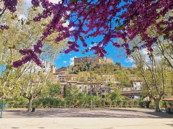 Location de vacances pour 12 personnes, avec vue et terrasse, animaux acceptés dans Chateau De Durban Durban Corbieres