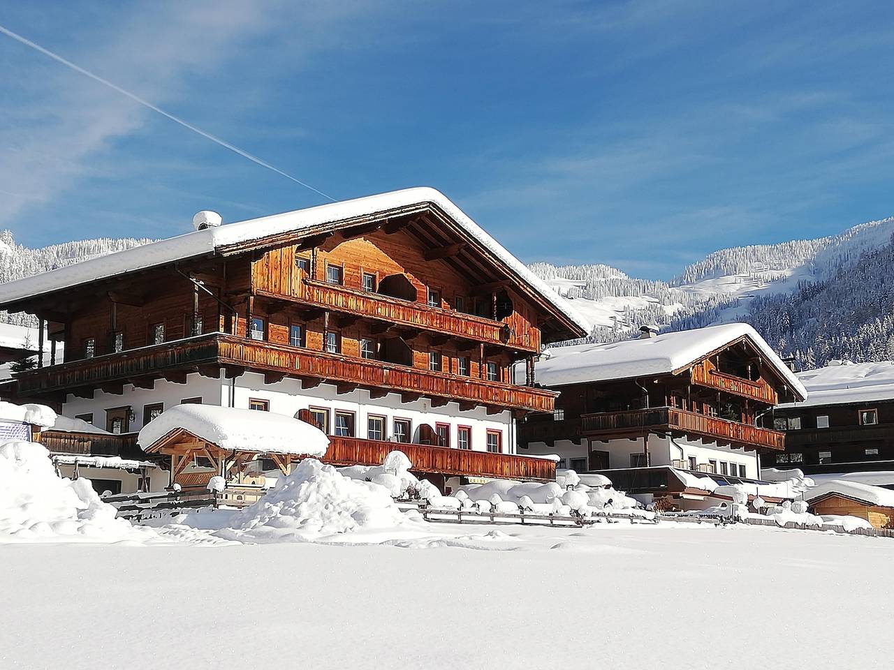 Ganze Ferienwohnung, Appartement Panorama in Alpbach, Kitzbüheler Alpen