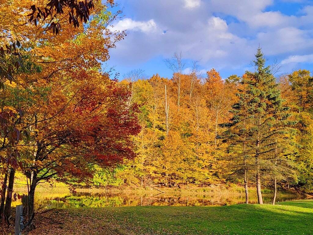 Charmantes Landhaus auf einer niedlichen Farm, nur wenige Minuten vom Delaware River entfernt in Pocono Mountains