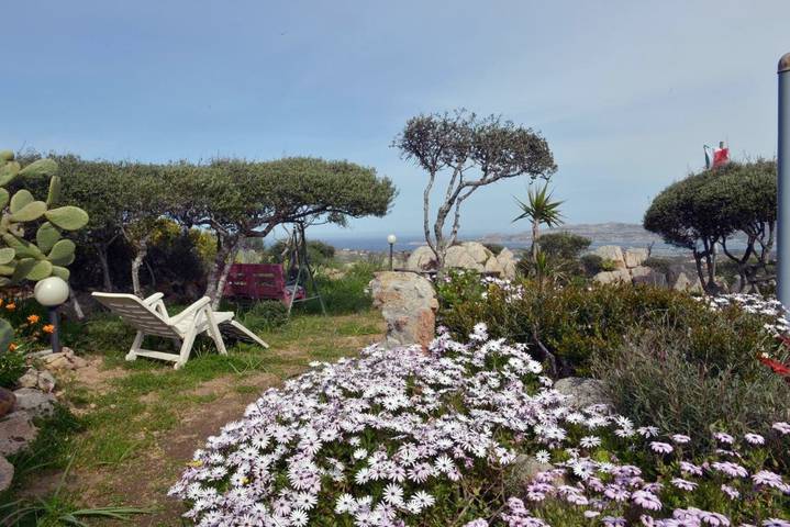 Chambre d’hôte pour 3 personnes, avec jardin ainsi que terrasse et vue, animaux acceptés dans La Maddalena - 2