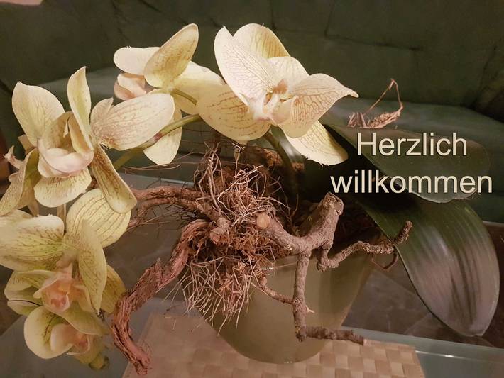 Ferienwohnung für 5 Personen in Hanse Sail - 2