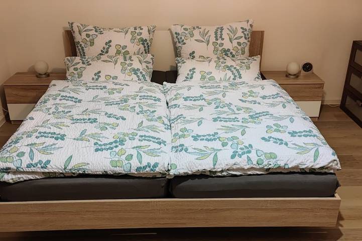 Ferienwohnung für 5 Personen, mit Garten in Waldshut-Tiengen - 2