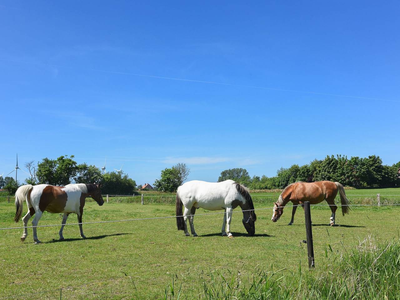Ganze Ferienwohnung, Ferienhof Gerdes in Utgast - Ferienwohnung Wattwurm in Holtgast, Landkreis Wittmund