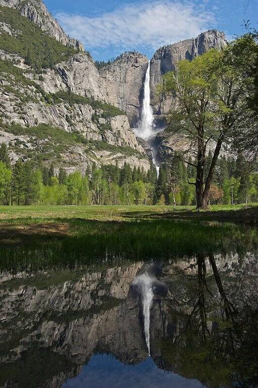 River View Yosemite Kabine im Wawona unter den Redwoods, 3 Schlafzimmer, 2 Bäder, springen rock! in Wawona, Mariposa County