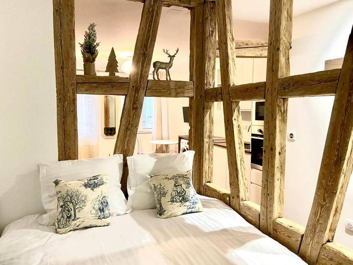 Gîte pour 3 personnes dans Office De Tourisme De Strasbourg - 4